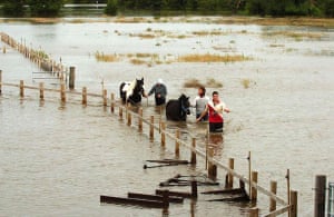 Horses being rescued from fields near Derby after the river Derwent burst its banks following heavy rain
