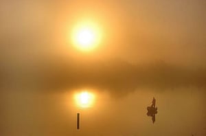A man fishing during dense fog at sunrise on Lake Brya