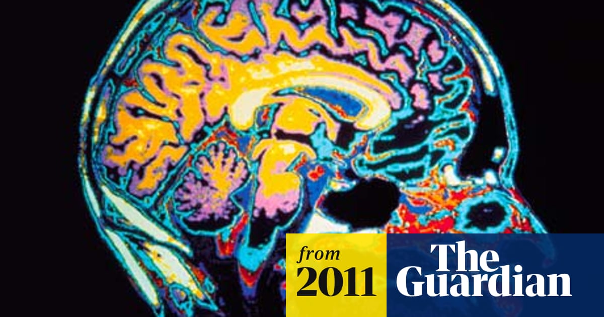 City Living Affects Your Brain Researchers Find Neuroscience The Guardian City Living Affects Your Brain Researchers Find Neuroscience The Guardian
