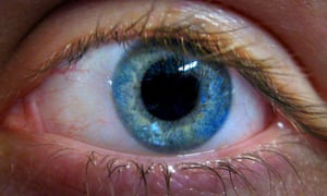 Minds eye