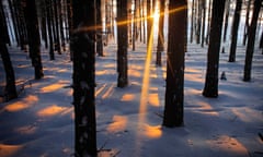russian winter scene in woods