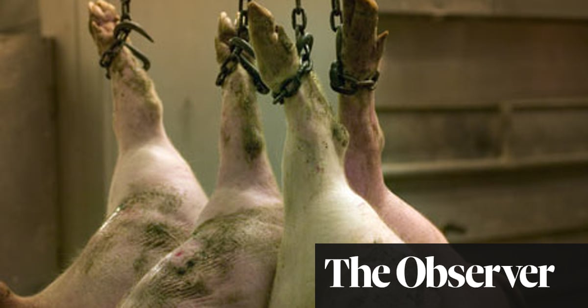 Eating Animals by Jonathan Safran Foer | Jonathan Safran Foer | The Guardian