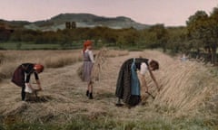 Three women gather sheaves, wurttemberg, 1928