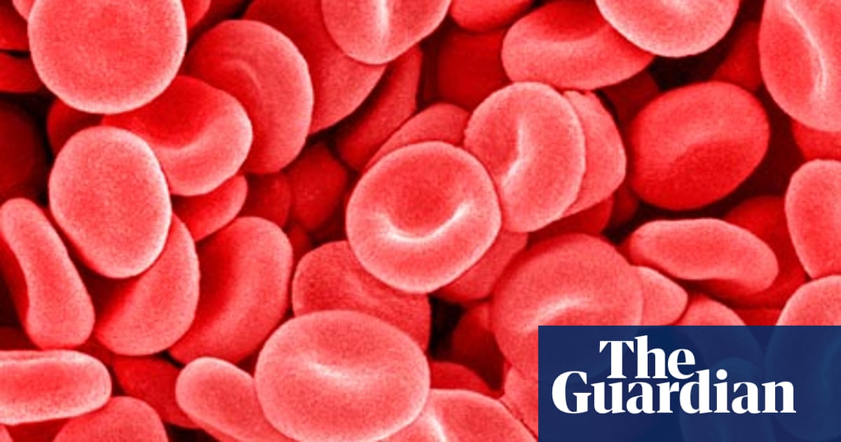 Will Self The Trouble With My Blood Health Mind And Body Books The Guardian Will Self The Trouble With My Blood Health Mind And Body Books The Guardian