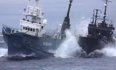 Japanese whalers and Sea Shepherd