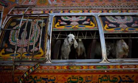 An intricately decorated truck in Pakistan