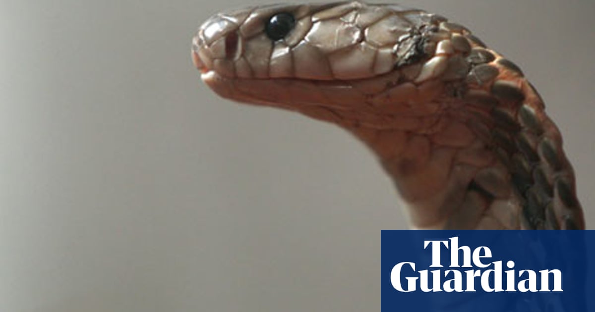 Notes and queries Which is more dangerous snakes or ladders