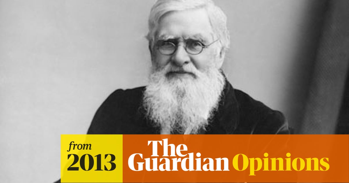 Darwin Did Not Cheat Wallace Out Of His Rightful Place In History John Van Wyhe Science The Guardian
