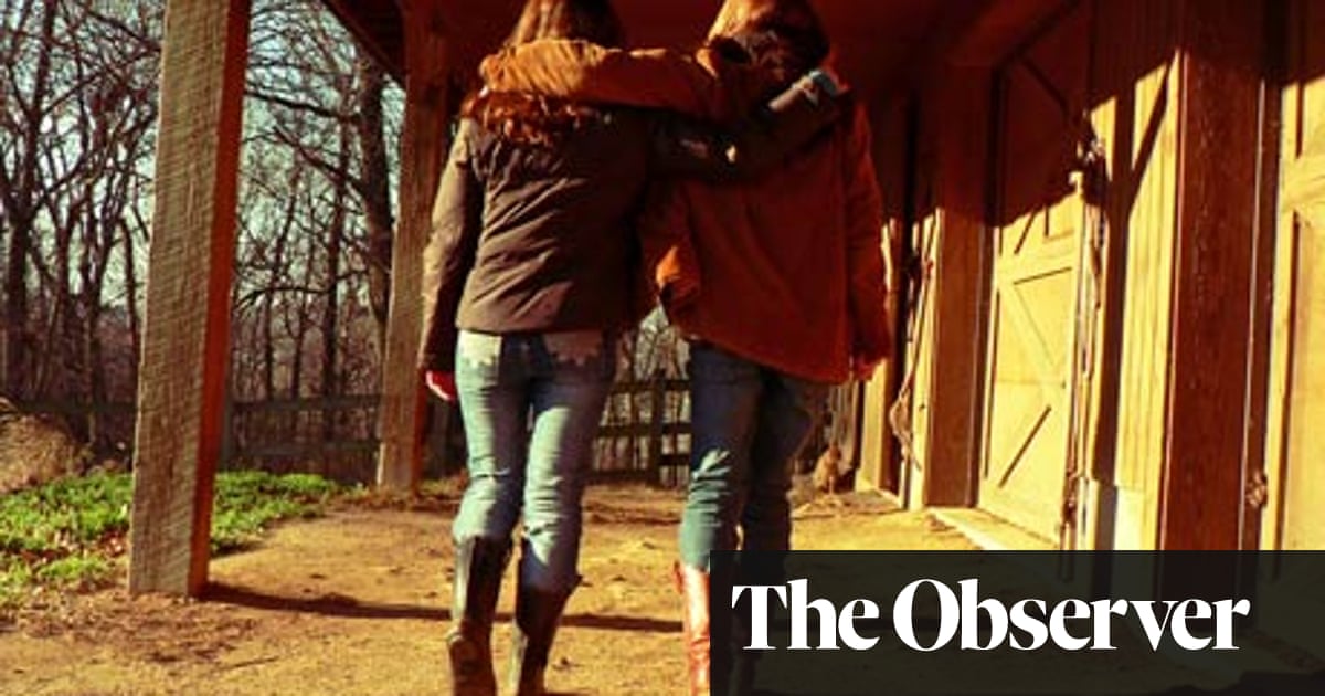 The Social Animal by David Brooks – review | Society books | The Guardian The Social Animal by David Brooks – review | Society books | The Guardian