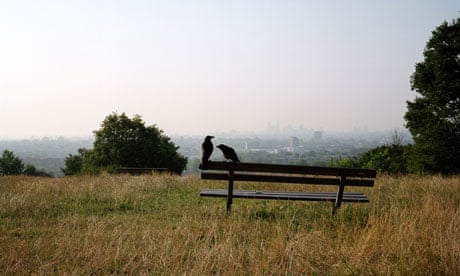 Two crows perched on a bench, surrounded by burnished grass, London lurking in the misty distance