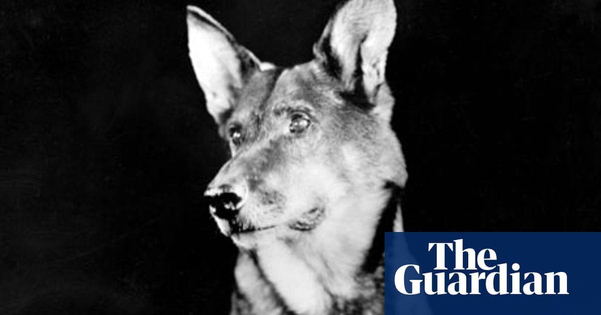 Rin Tin Tin: The Life and the Legend by Susan Orlean – review | Film books  | The Guardian