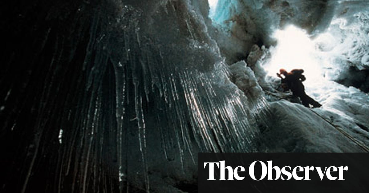 Hallucinations By Oliver Sacks Review Books The Guardian