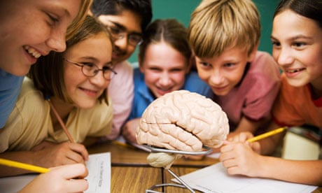 kids study brain