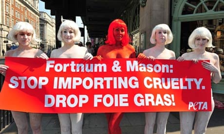 Fortnum's to investigate claims of cruelty made in undercover film at foie  gras farms | Animal welfare | The Guardian