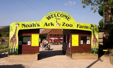 Noah's Ark Zoo Farm, Bristol, England, UK