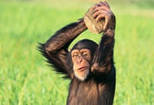 science 4