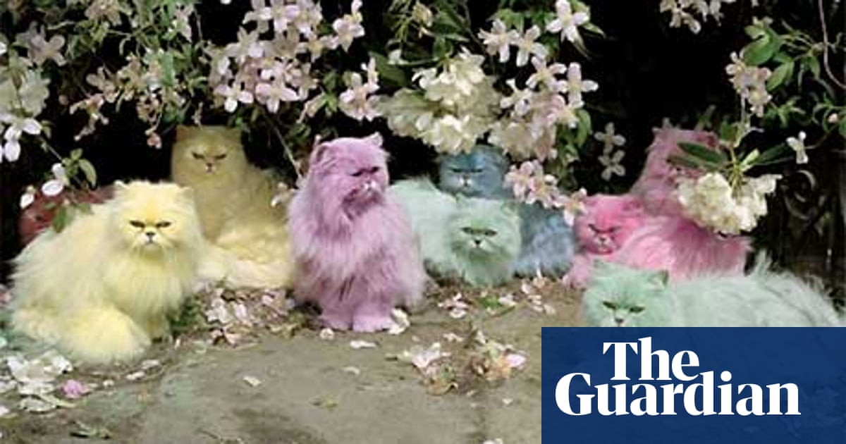 Tim Walker S Best Shot Photography The Guardian