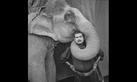 Mary Ellen Mark: Animal Trainer with elephant