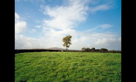 Union Jack flag in tree, County Tyrone, 1985 by Paul Graham