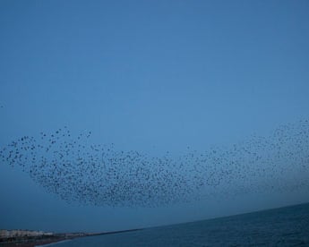 Rinko Kawauchi