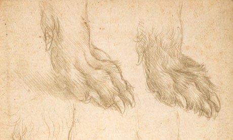 Leonardo da Vinci's Studies of a dog's paw, about 1485.