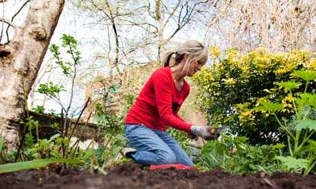 Gardening: the secret of happiness | Gardens | The Guardian