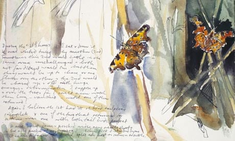 David Measures butterfly sketch and diary entry