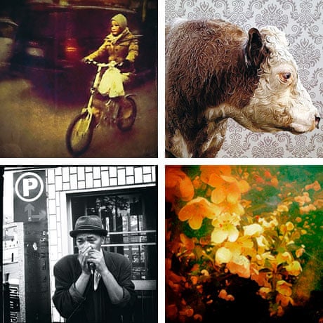 A selection of images taken by mobile photgraphers and artists