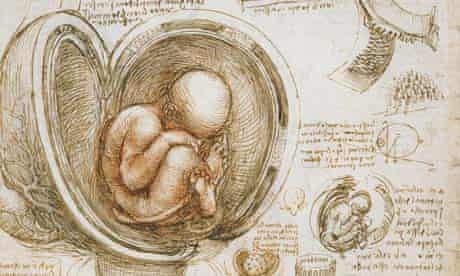 Studies of the foetus in the womb by Leonardo da Vinci