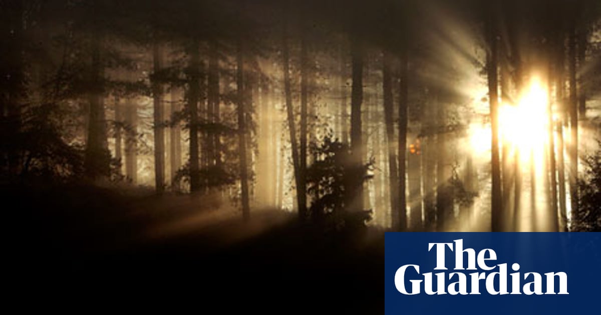 Black Vodka By Deborah Levy Review Books The Guardian