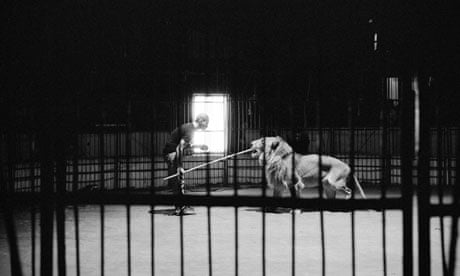 John Perkins best photograph lion tamer