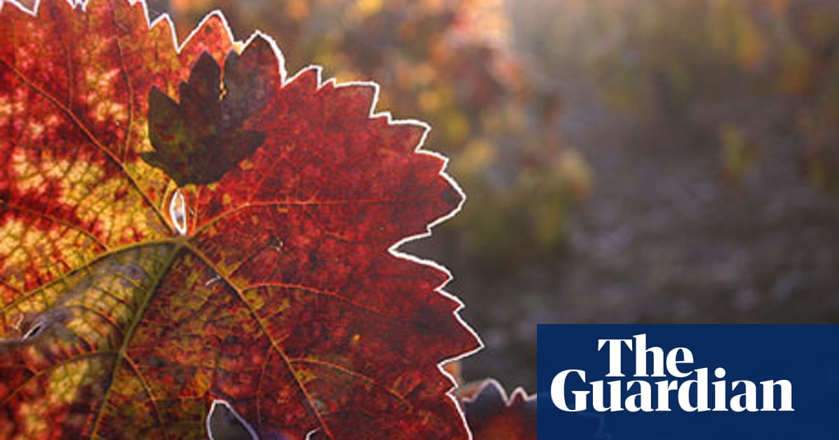 Poem Of The Week To Autumn By John Keats John Keats The Guardian Poem Of The Week To Autumn By John Keats John Keats The Guardian
