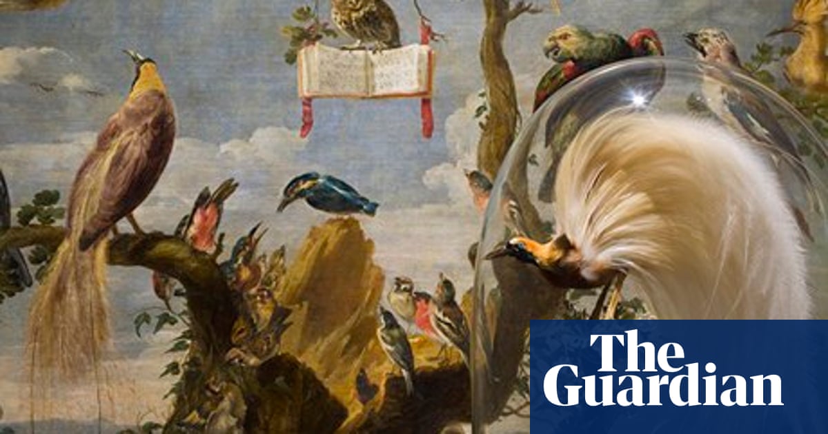 Museum And Gallery Curators Reopen The Cabinet Of Curiosities Concept Art The Guardian Museum And Gallery Curators Reopen The Cabinet Of Curiosities Concept Art The Guardian