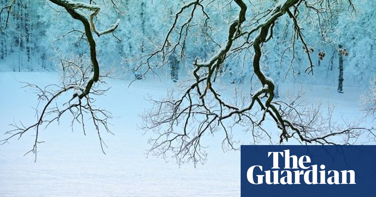 Ian Bostridge On Singing Schubert S Winterreise An Indispensable Work Of Art Books The Guardian