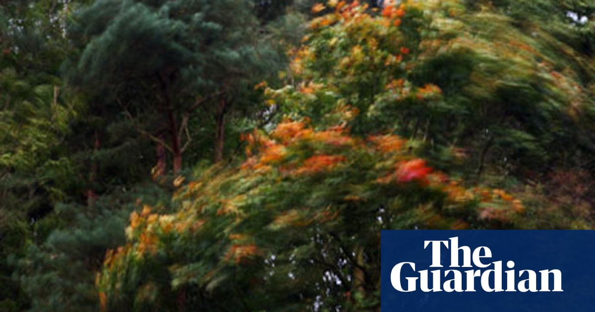 Poem Of The Week Autumn By John Clare Books The Guardian