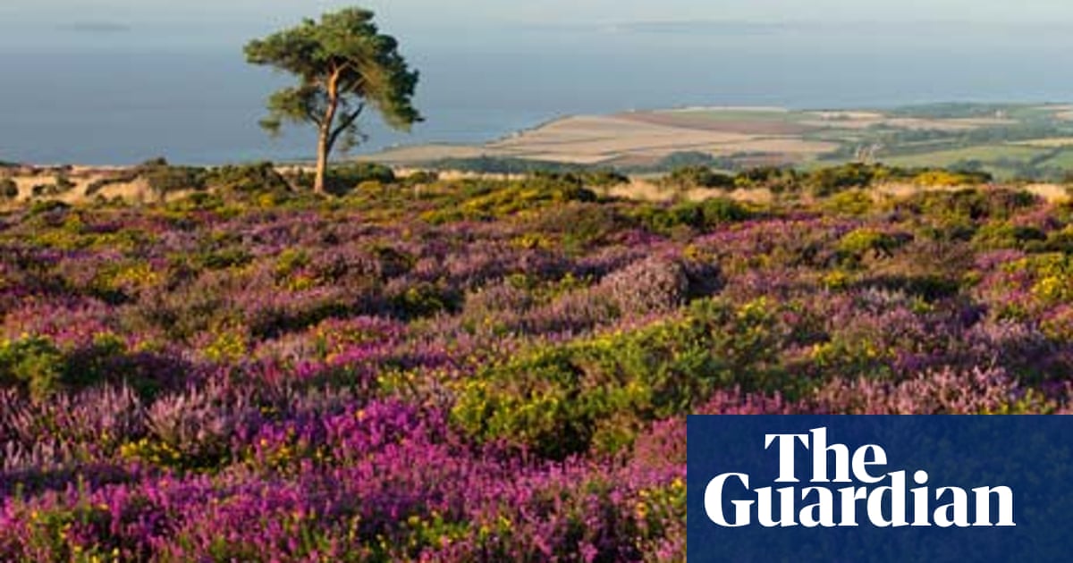 Thomas spring Spring thomas