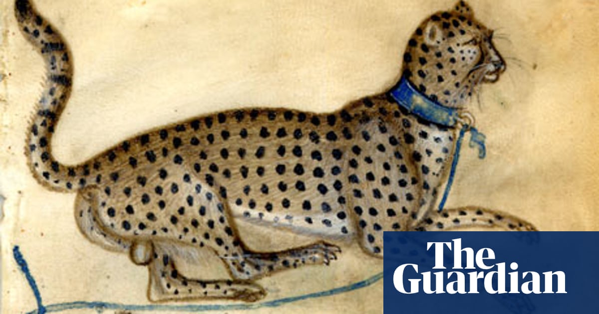 Lines Of Beauty Art And Design The Guardian