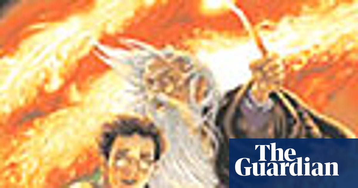 the guardian harry book review