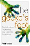 The Gecko's Foot by Peter Forbes