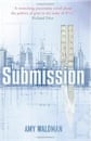 Amy Waldman, The Submission