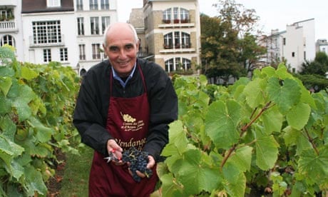 Wine-grower in a vineyard in Montmartre, Paris