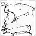 John Berger's drawing of Cro-Magnon cave paintings in Chauvet
