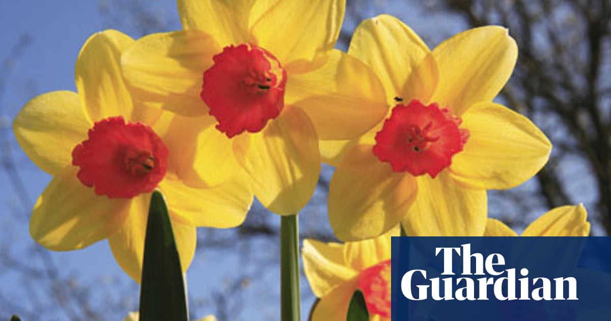 Older And Wiser Carol Ann Duffy Introduces Poems Of Ageing Poetry The Guardian
