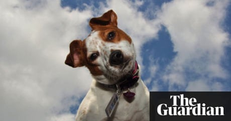 Film jobs uk Film jobs uk