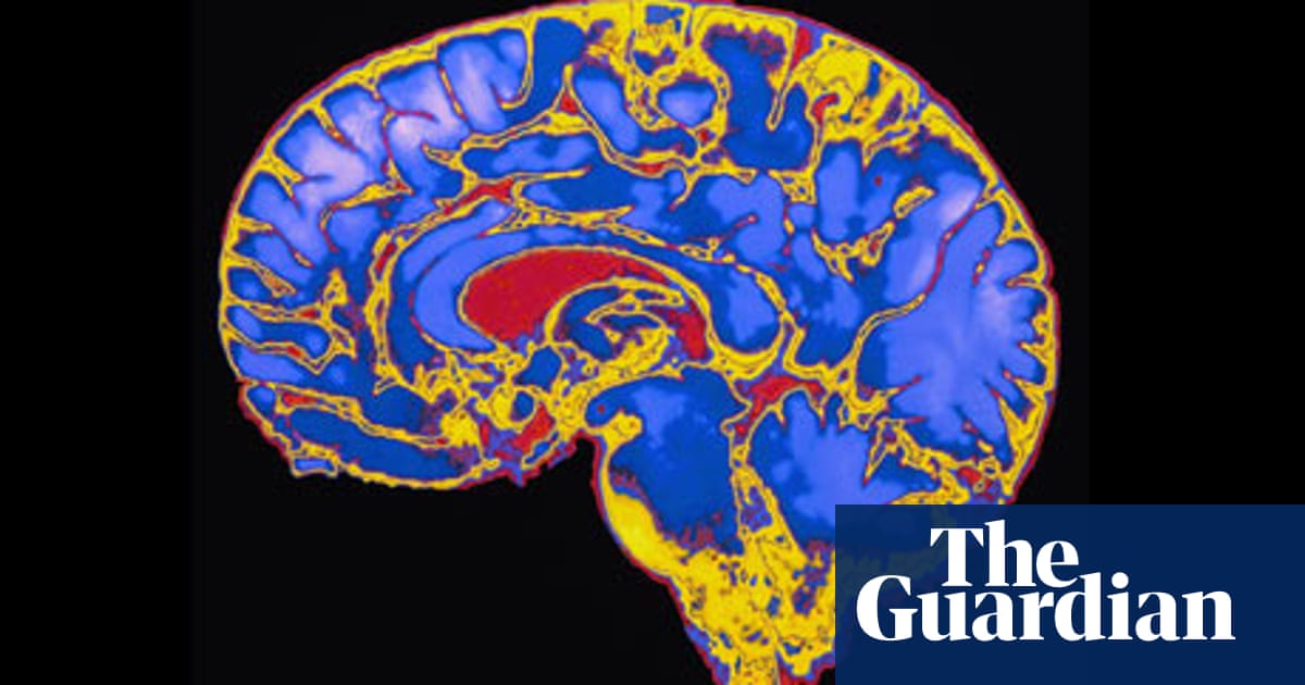 Thinking Fast And Slow By Daniel Kahneman Review Science And Nature Books The Guardian Thinking Fast And Slow By Daniel Kahneman Review Science And Nature Books The Guardian