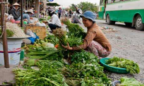 vegetables vietnam