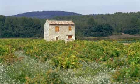 Field of dreams ... a house in Provence, southern France.