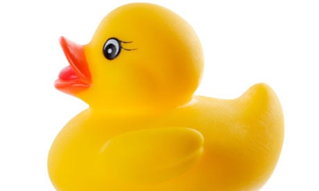 Moby-Duck: The True Story of 28,800 Bath Toys Lost at Sea by Donovan Hohn review | Books | The Guardian Moby-Duck: The True Story of 28,800 Bath Toys Lost at Sea by Donovan Hohn review | Books | The Guardian