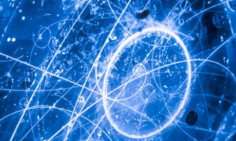 top 10 books on quantum physics Subatomic neutrino tracks