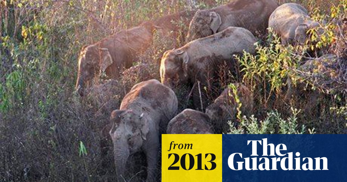 Wild Burma: Nature's Lost Kingdom – TV review - The Guardian